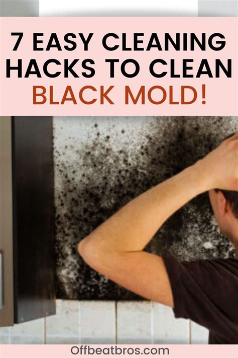 Black Mold Removal: 7 Effective Hacks to Clean black Mold in 2020 ...