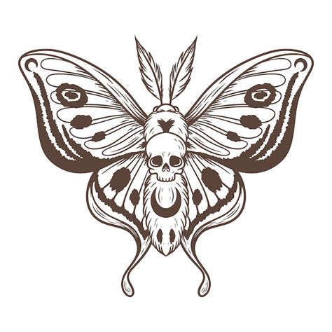 Free Vector | Hand drawn death moth drawing illustration