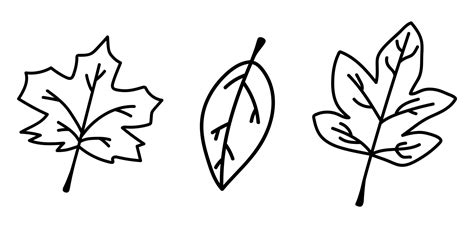 Set of doodle isolated autumn leaves. Collection of hand drawn fallen ...