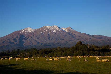 Ruapehu Volcano Earthquakes: Latest Quakes Past 14 Days | VolcanoDiscovery