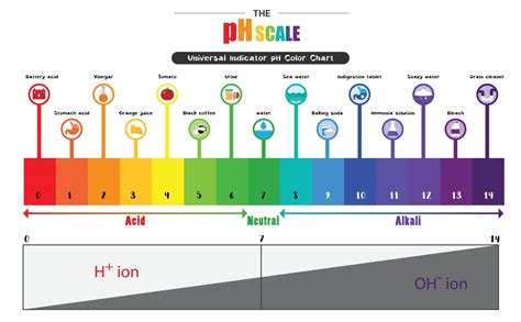 How Learning the pH Scale Can Create a More Balanced Diet - Natural Bio ...