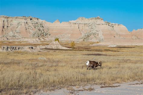 10 Great Hikes in Badlands National Park – Earth Trekkers