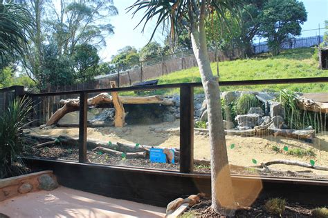 New Capybara Enclosure - ZooChat