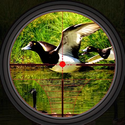 Duck Hunting Wild Shooting Sim for PC – Windows 7, 8, 10 – Free ...