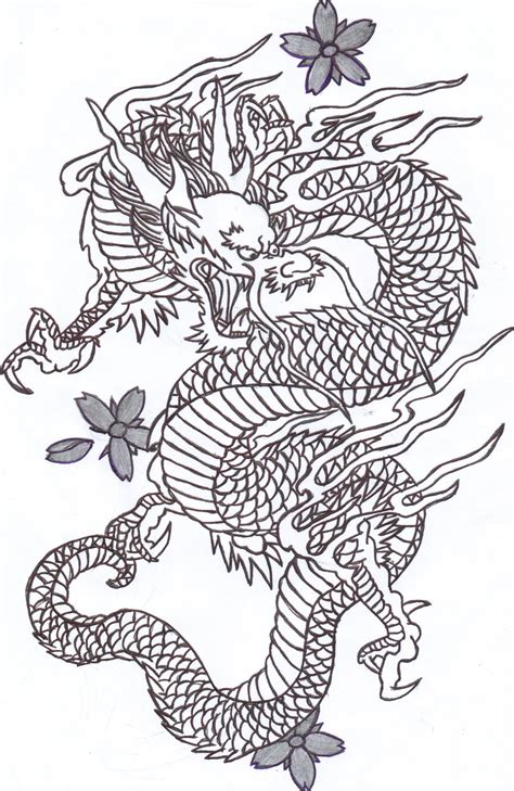 Free Chinese Dragon Drawing, Download Free Chinese Dragon Drawing png ...