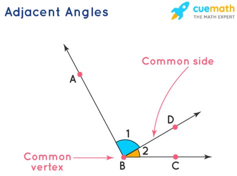 Adjacent Angles - Definition, Meaning, Properties, Examples