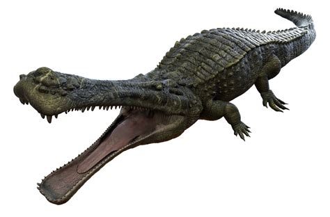 Deinosuchus Pictures - AZ Animals