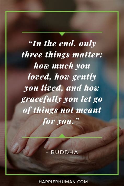 101 Zen Quotes on Life, Love, and Death - Happier Human