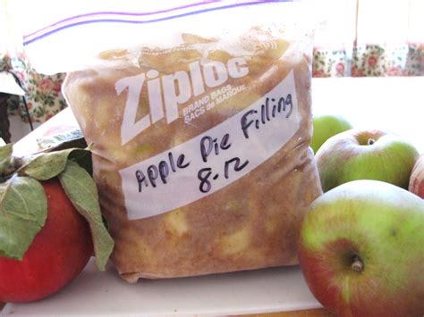 23 Best Canning Apple Pie Filling without Clear Jel - Best Recipes ...