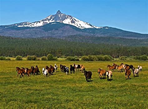 Things To Do In Sisters Oregon - Black Butte Ranch