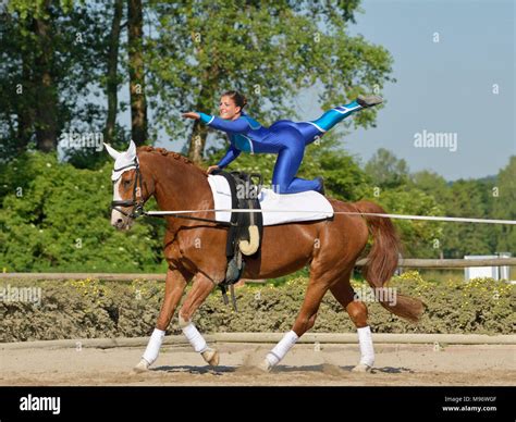 Horse vaulting hi-res stock photography and images - Alamy