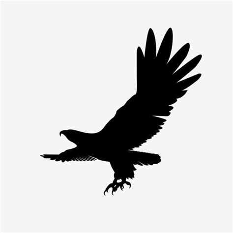 Soaring Eagle Black Silhouette, Vector Illustration, Soaring Eagle ...