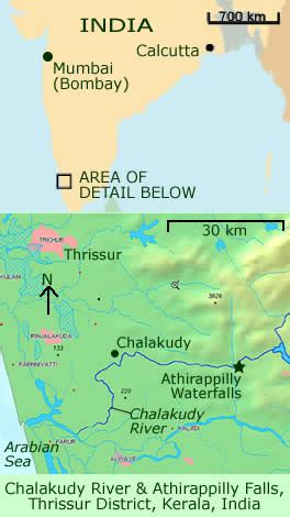 New Studies of the Chalakudy River | Peaceful Societies