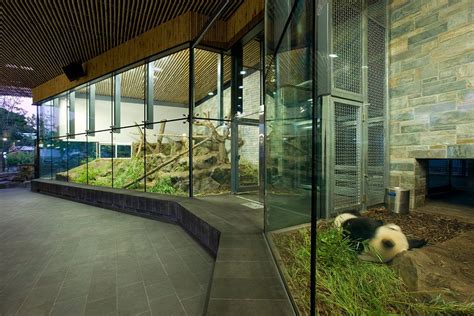 Adelaide Zoo Entrance Precinct and Giant Panda Forest by HASSELL ...