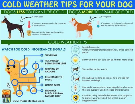 Cold weather tips: keeping your family and pets safe