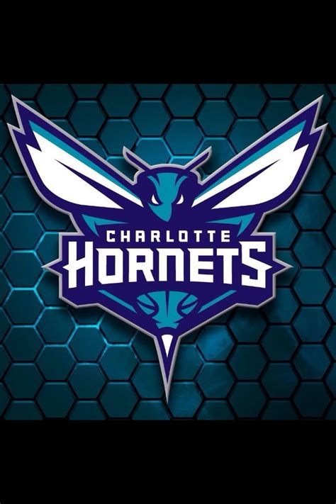 Hornets new logo | Charlotte hornets, Hornet, Nba wallpapers