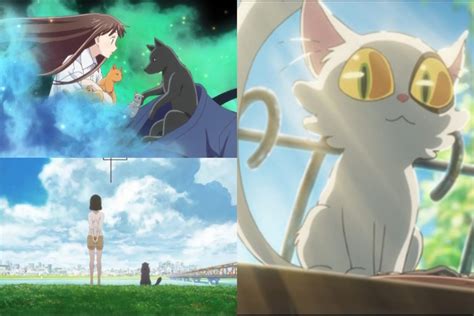 Update more than 74 anime with cat people - in.coedo.com.vn