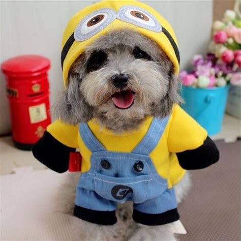 Aliexpress.com: Comprar Amarillo Minions Capa Del Perro Del Gato Ropa ...