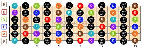 Guitar Fretboard Diagram: (12 & 24 Fret Charts)