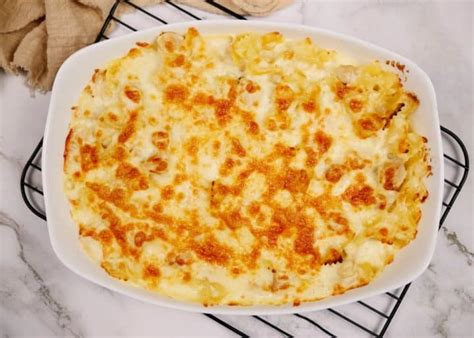 Chicken Alfredo Casserole - Casserole Recipes