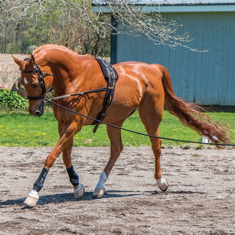 Dura-Tech® Fleece Surcingle Pad | Schneiders Saddlery