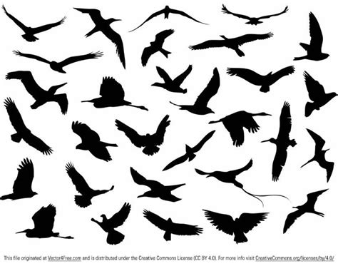 Flying Doves Vector