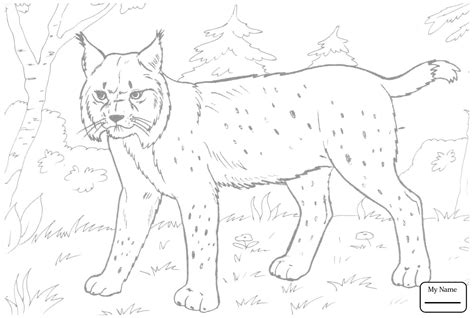 Cub Scout Bobcat Pages Coloring Pages