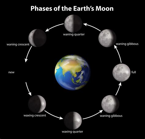 Moon Phase Diagram With Sun