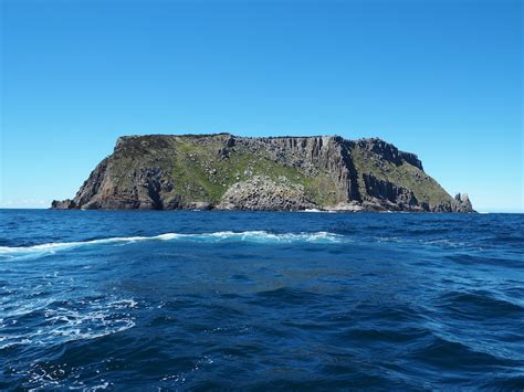 Our Three-Hour Tasman Island Wilderness Cruise - Free Two Roam