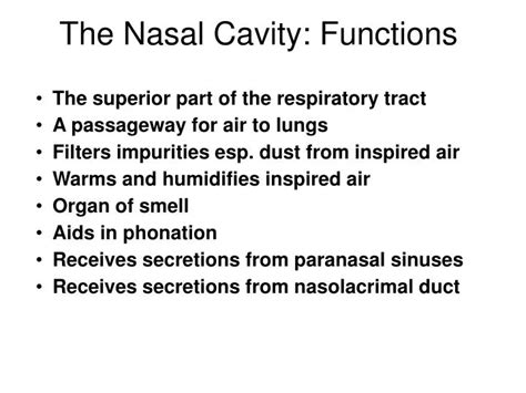 PPT - The Nasal Cavity: Functions PowerPoint Presentation, free ...