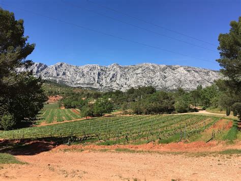 Provence Wine Tour Report - Wine Tours and Wine Tasting Holidays