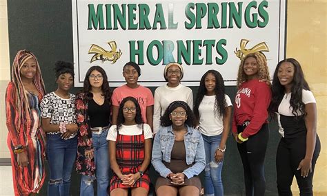 2022-2023 Mineral Springs Homecoming Court | Southwest Arkansas News