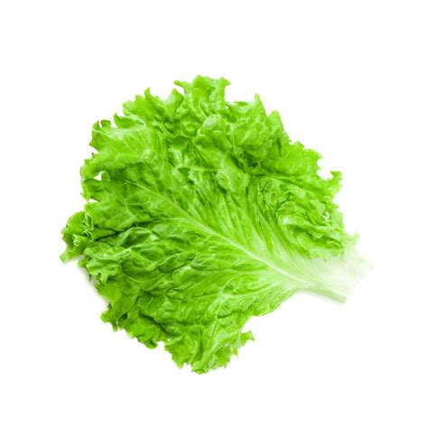 Lettuce, Green Leaf Single 10 lb - GoFresh