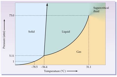 During a phase change, what happens to the temperature of a substance ...