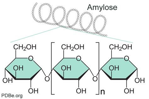 Starch Amylase Reaction Equation