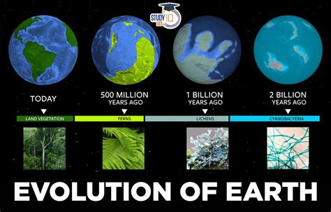 Evolution Of Earth – NBKomputer