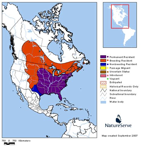 Tennessee Watchable Wildlife | Common Grackle - Habitat: WATER