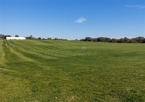 Sod Farm stock photo. Image of mower, rural, commerce - 45852038