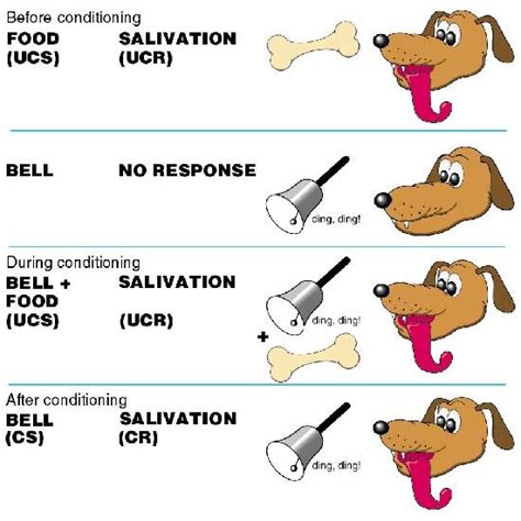 Behavior mod Diagram | Quizlet