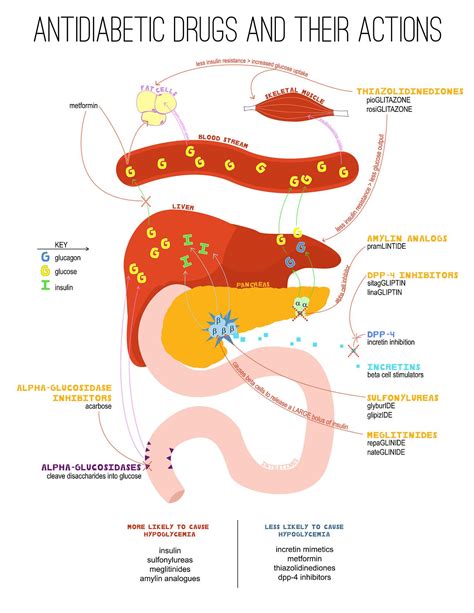 Discover the Power of Antidiabetic Drugs