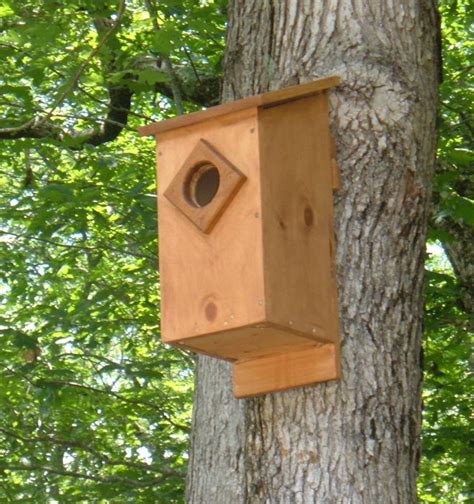 Screech Owl House Plans: How to Build a Screech Owl Box - FeltMagnet