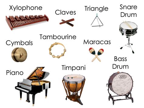 Percussion - Types Of Percussion Instruments New Percussionist ...