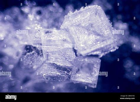 amazing salt crystals under the microscope Stock Photo - Alamy