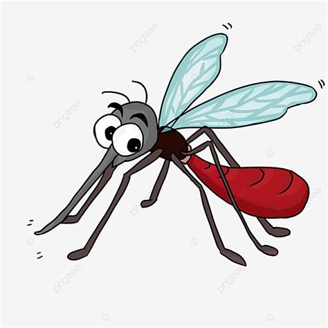 Lindo Caricatura Estilo Gris Cuerpo Cola Roja Mosquito Clipart PNG ...