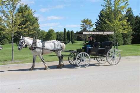 Drive Your Own Horse And Buggy – Mackinac Island