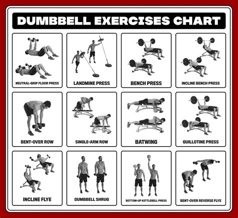 Printable Dumbbell Exercises - Printable Word Searches