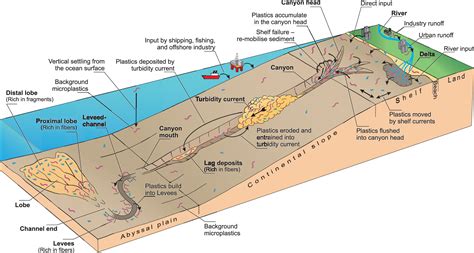 Transport and Burial of Microplastics in Deep-Marine Sediments by ...