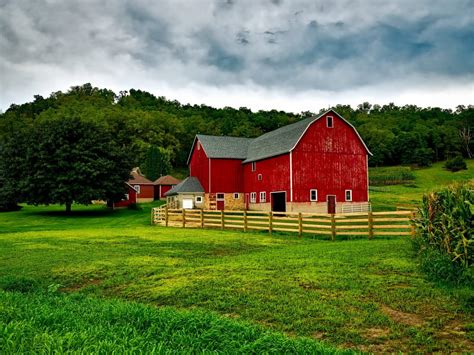 Guide to Setting Up a Small Farm - Modern Thrill