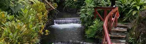 Arenal Volcano with Tabacon Hot Springs - Sunny Land Tours - Since 1964