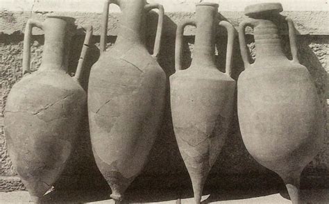 What does Amphora mean anyway? — Amphora Architecture Inc.